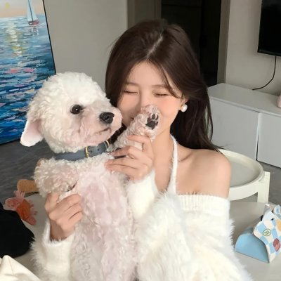 年少轻狂第四季
